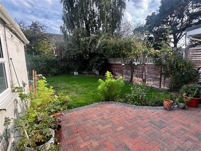 Picture 19